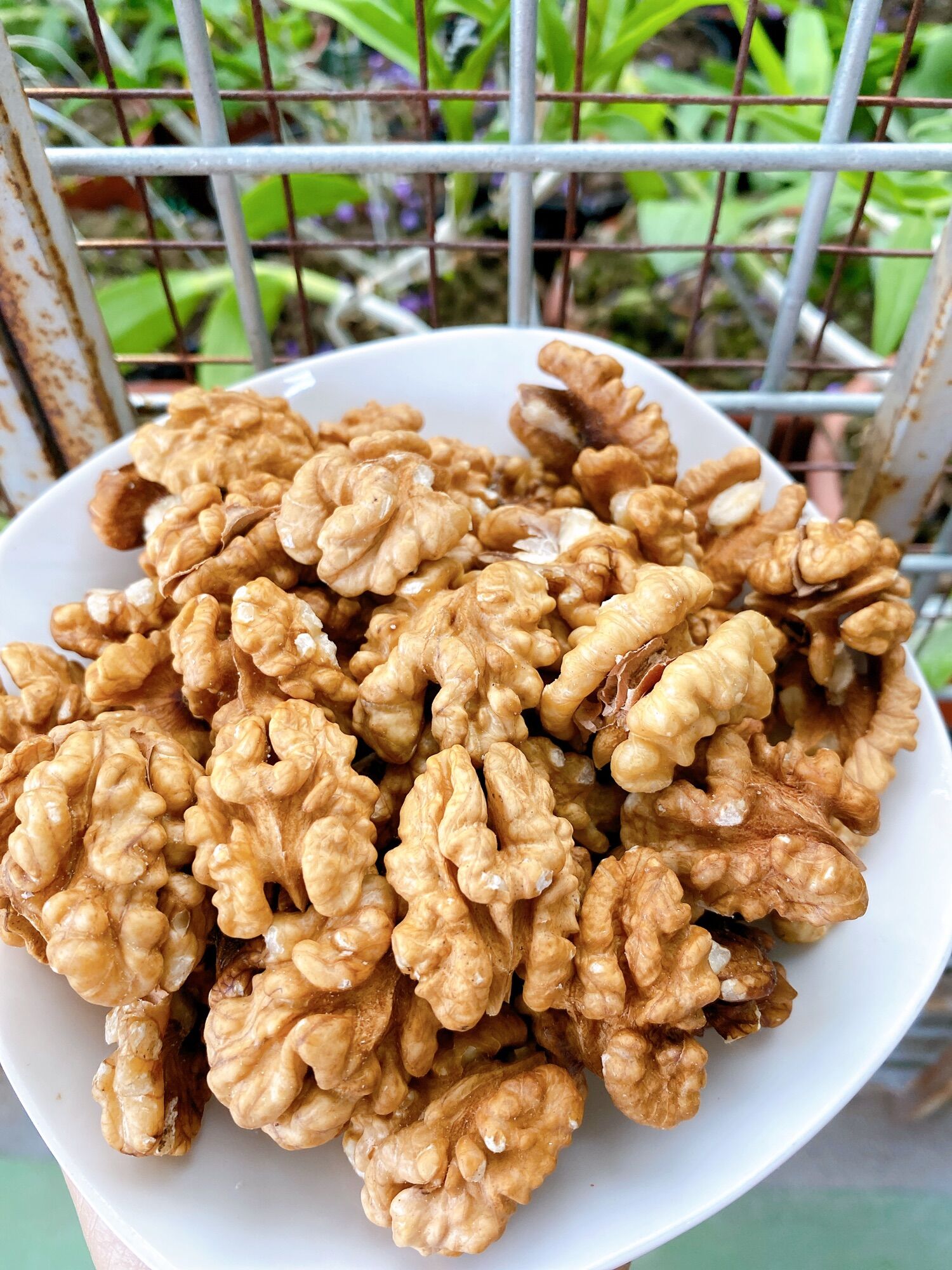 1kg Nhân óc chó vàng Mỹ đã tách vỏ đã sấy chín - tốt cho mẹ bầu và trẻ em