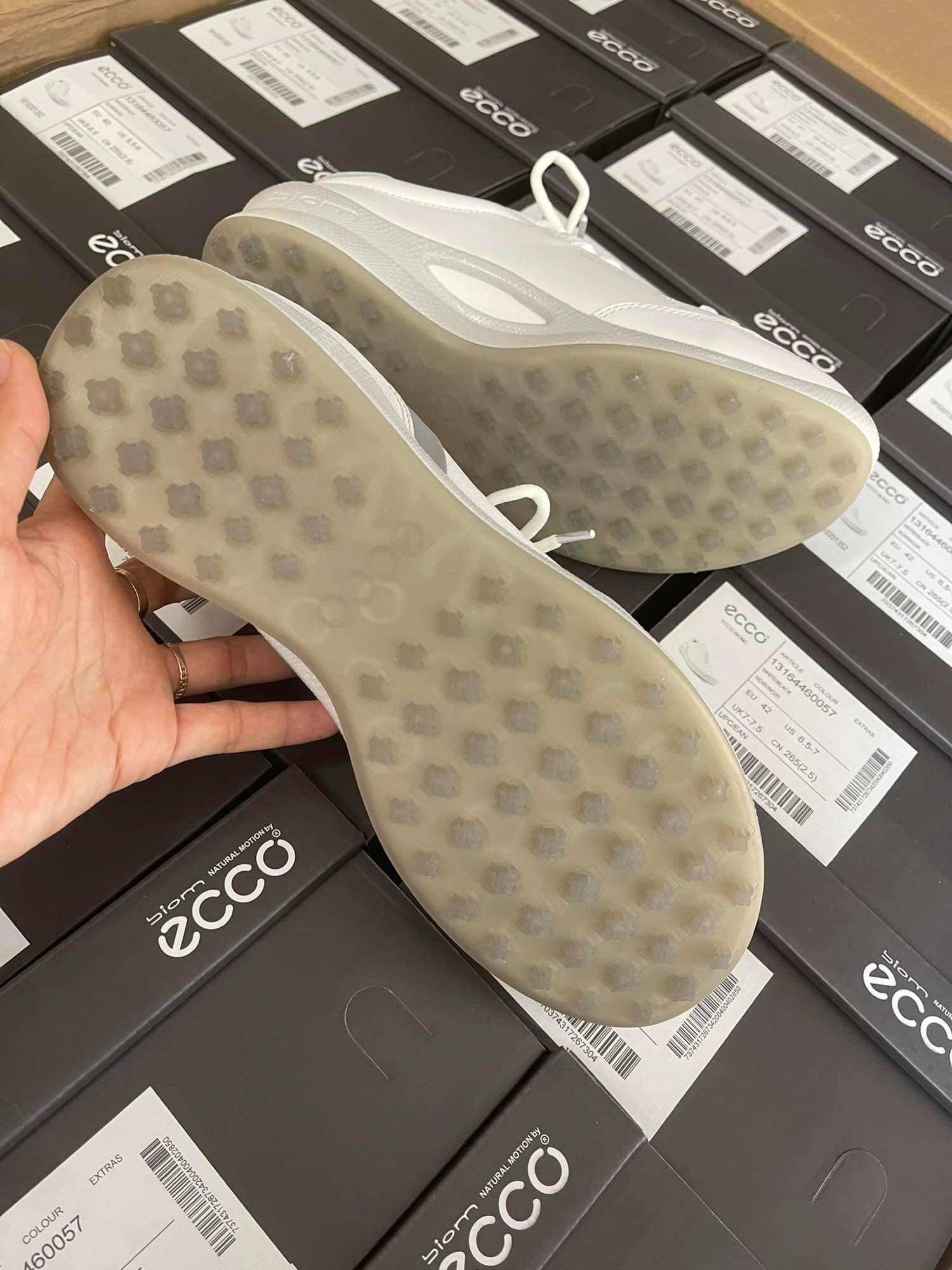Giày Golf Ecco nam mẫu mới dây buộc