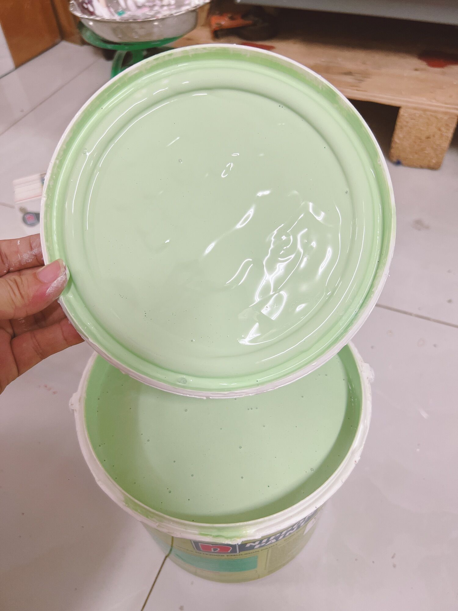 Combo xanh mong mơ 5kg 12-14mv nippon 43A-3p