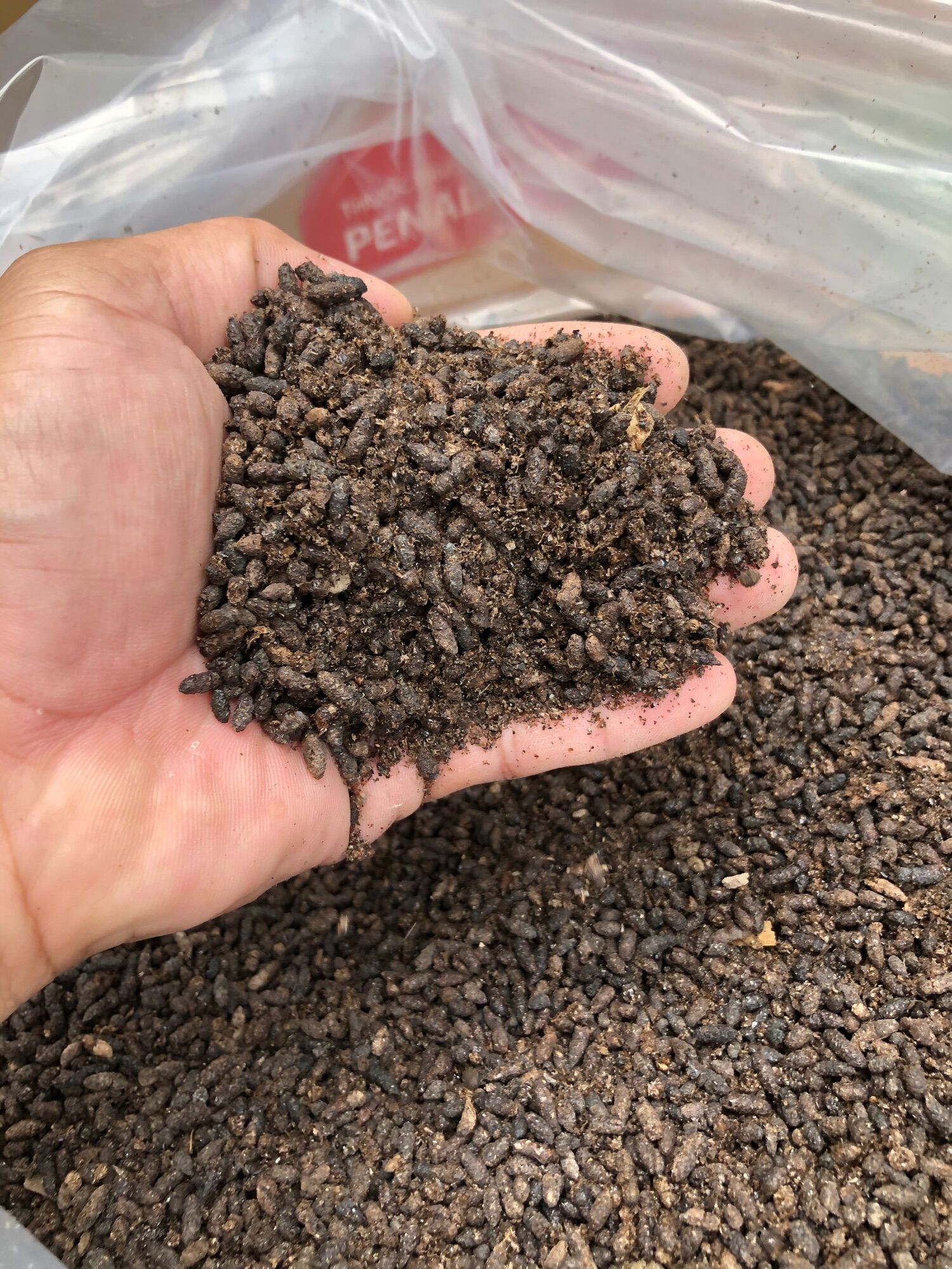 500gr phân dơi nguyên chất