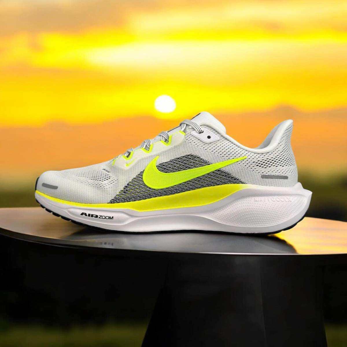 Giày Chạy bộ Nike pagesus 41. 