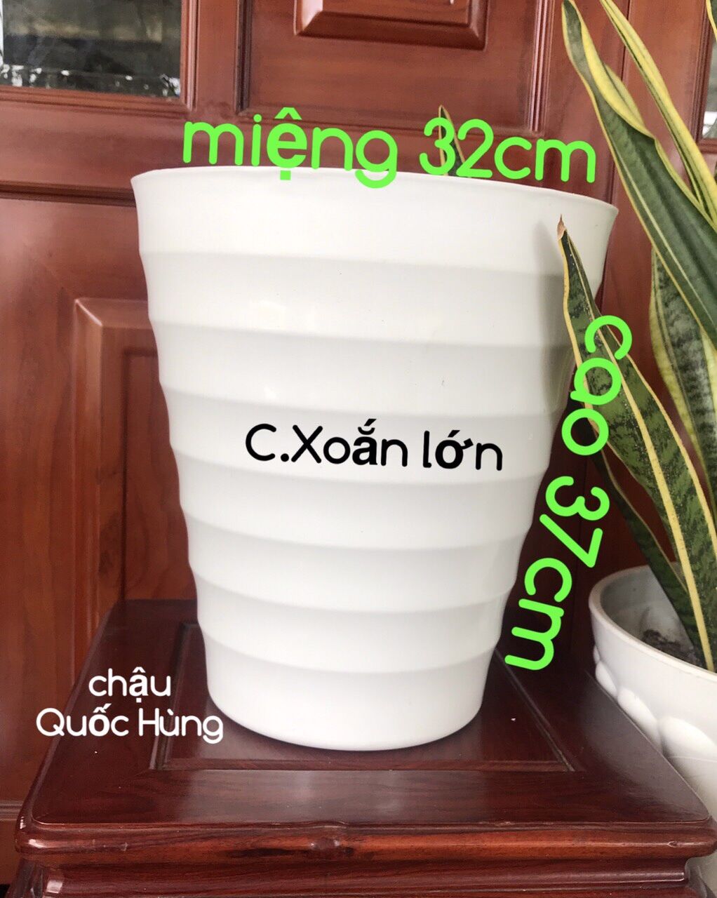 Combo 2 chậu xoắn lớn trồng cây