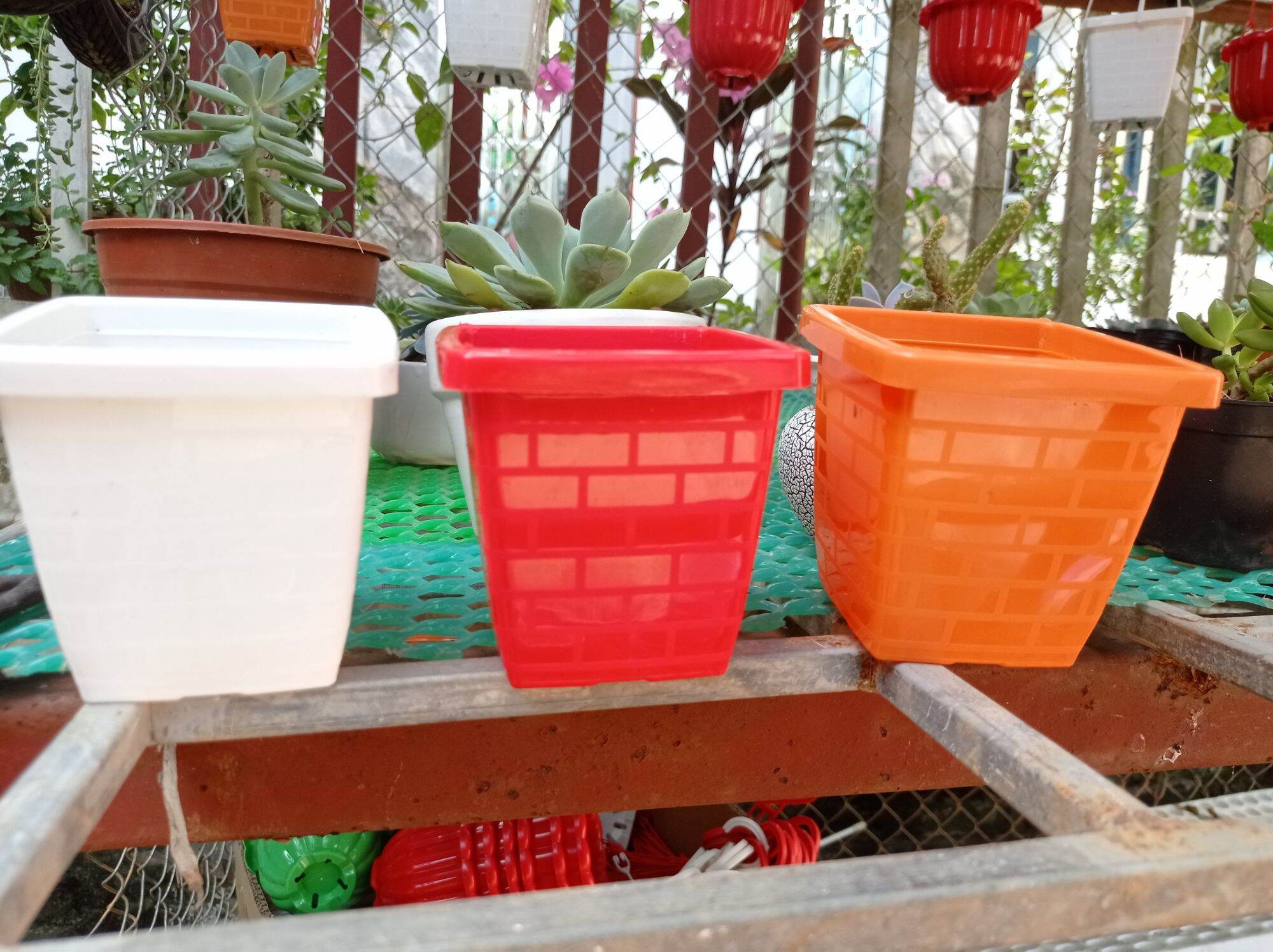 Chậu vuông trồng cây có móc treo