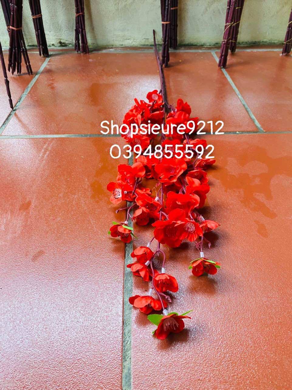 Hoa/cành đào-mai trang trí lễ Tết