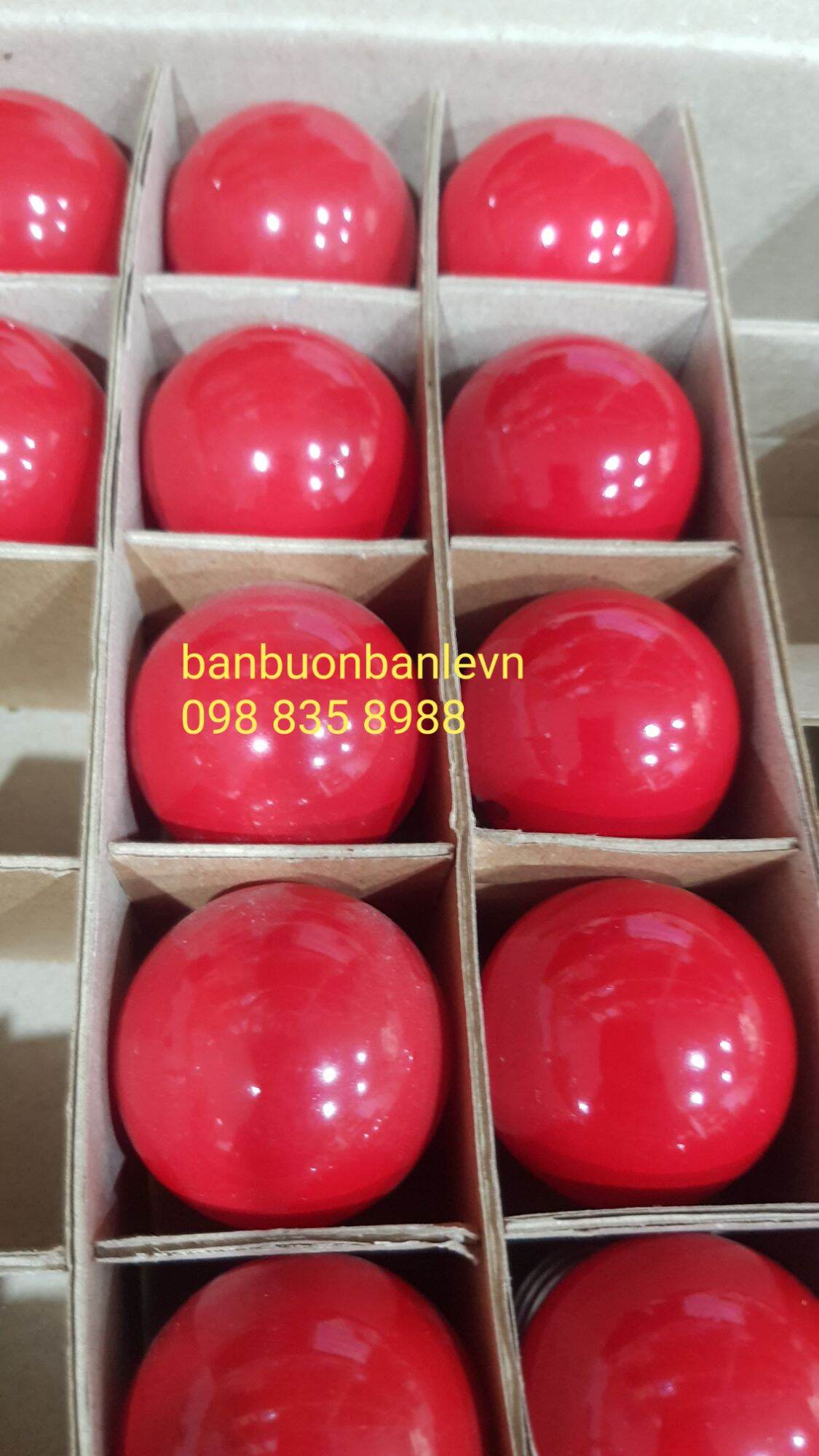 Hôp 25c bóng đèn sợi đốt 5w đui E27 Hòa Thái