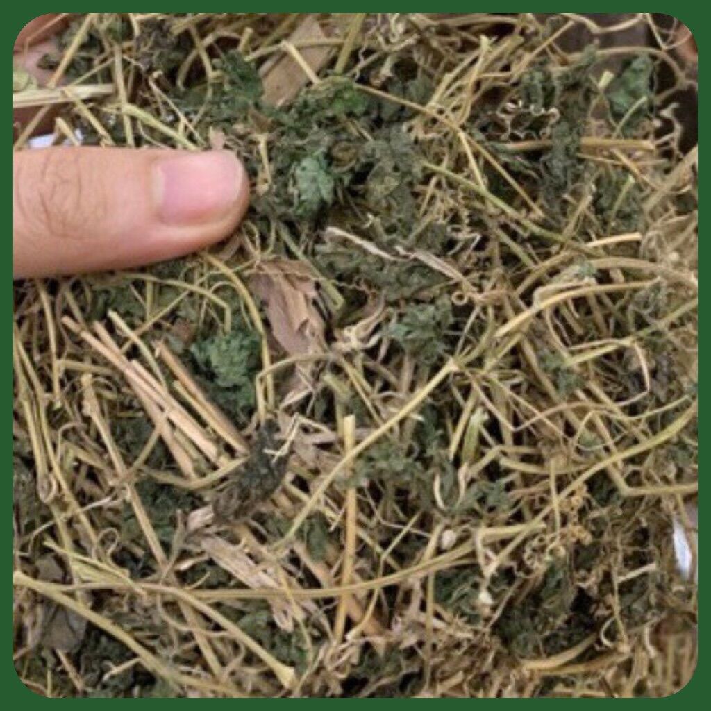 DÂY KHỔ QUA RỪNG ( MƯỚP ĐẮNG RỪNG ) - Túi 500gr