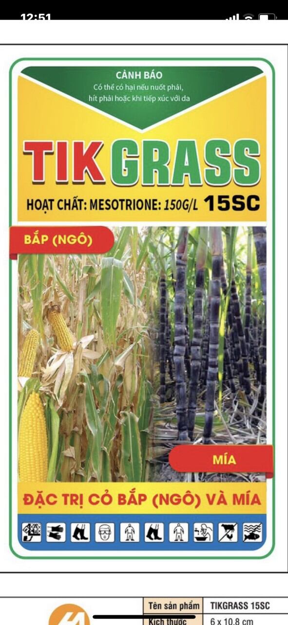 Diệt cỏ trong cây ngô bắp.
