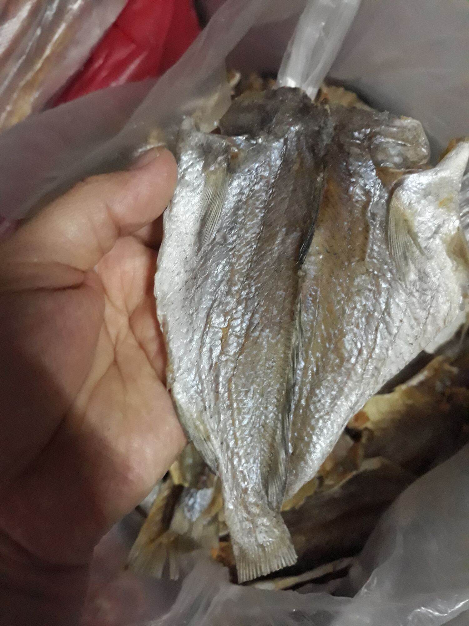 500gr cá đù khô xẻ làm cơm chiên cá mặn.