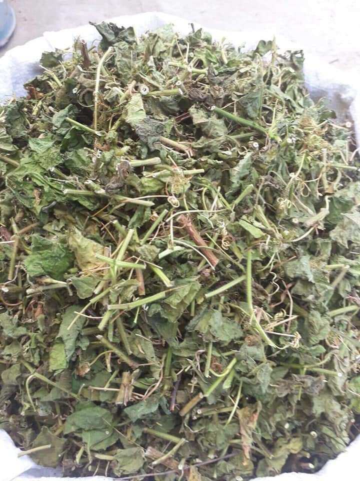 50k/1kg cây lạc tiên khô cực tốt cho người mất ngủ