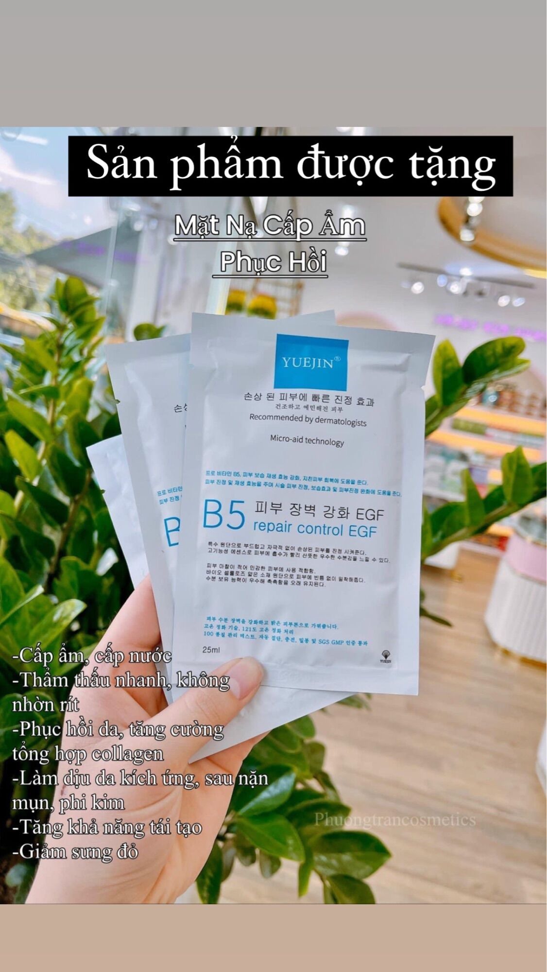 [ CHÍNH HÃNG ] TUÝT ACTIDEM DERMA 18g