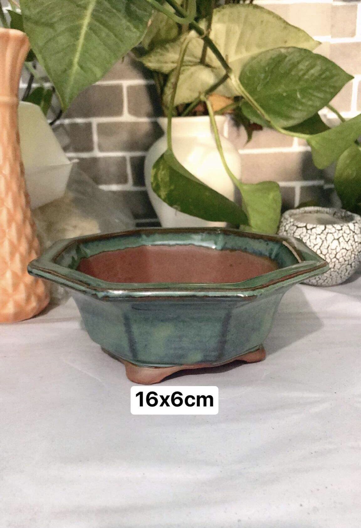 Chậu sứ bát giác men xanh