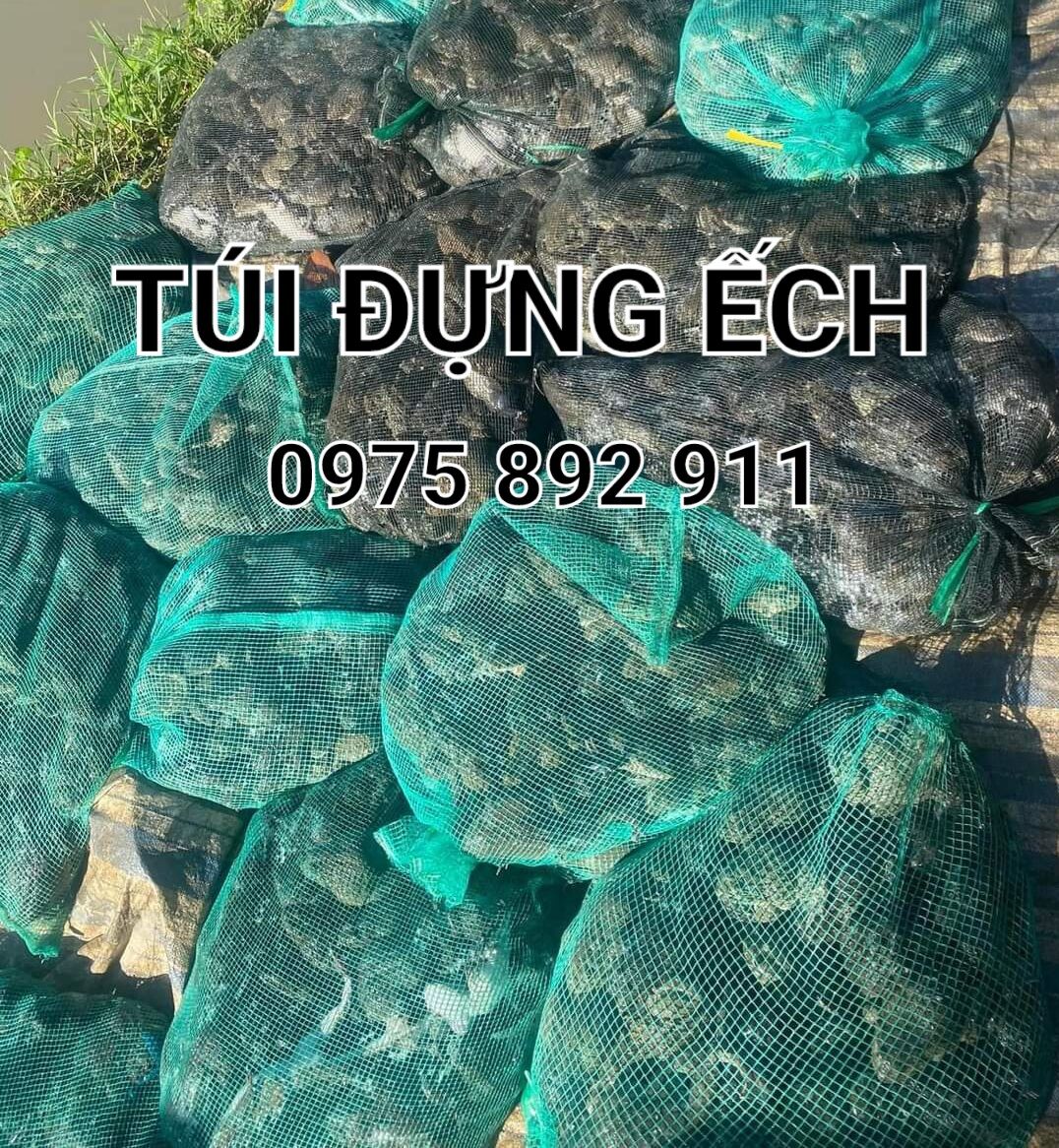 Túi lưới đựng ếch 60x60