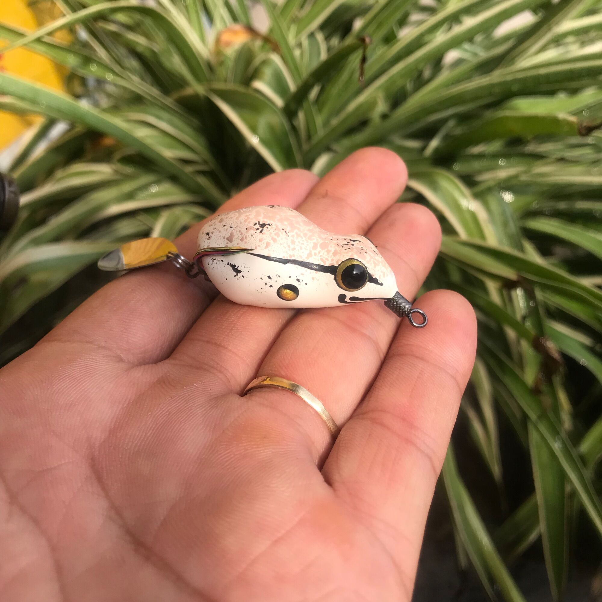 Mồi câu cá lóc k1
