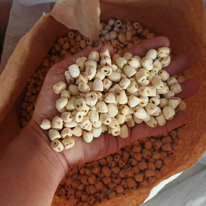 1Kg Hạt Sen khô_Sen Bắc Thơm Mềm Bở.
