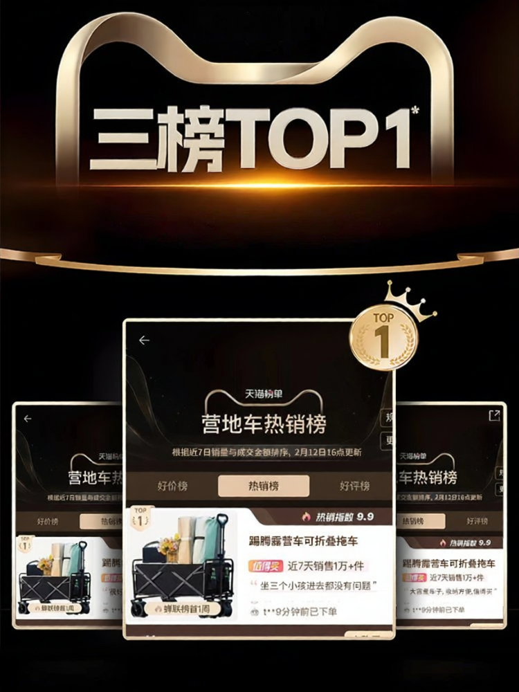 Electric Assist Folding Camp Cart Large Capacity Child-friendly - 6