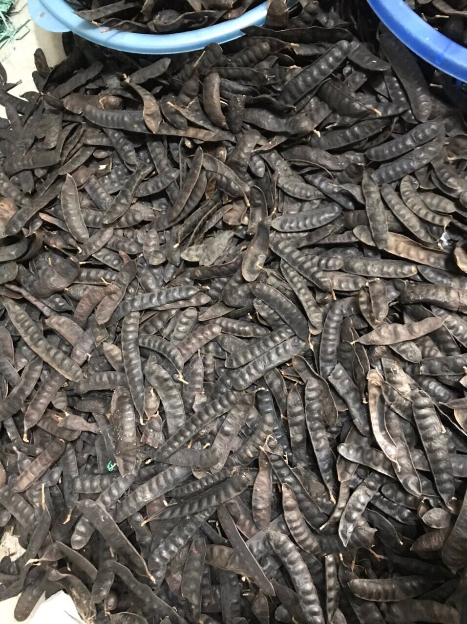 500g bồ kết khô (không thuốc trống mọt, phơi khô tự nhiên)