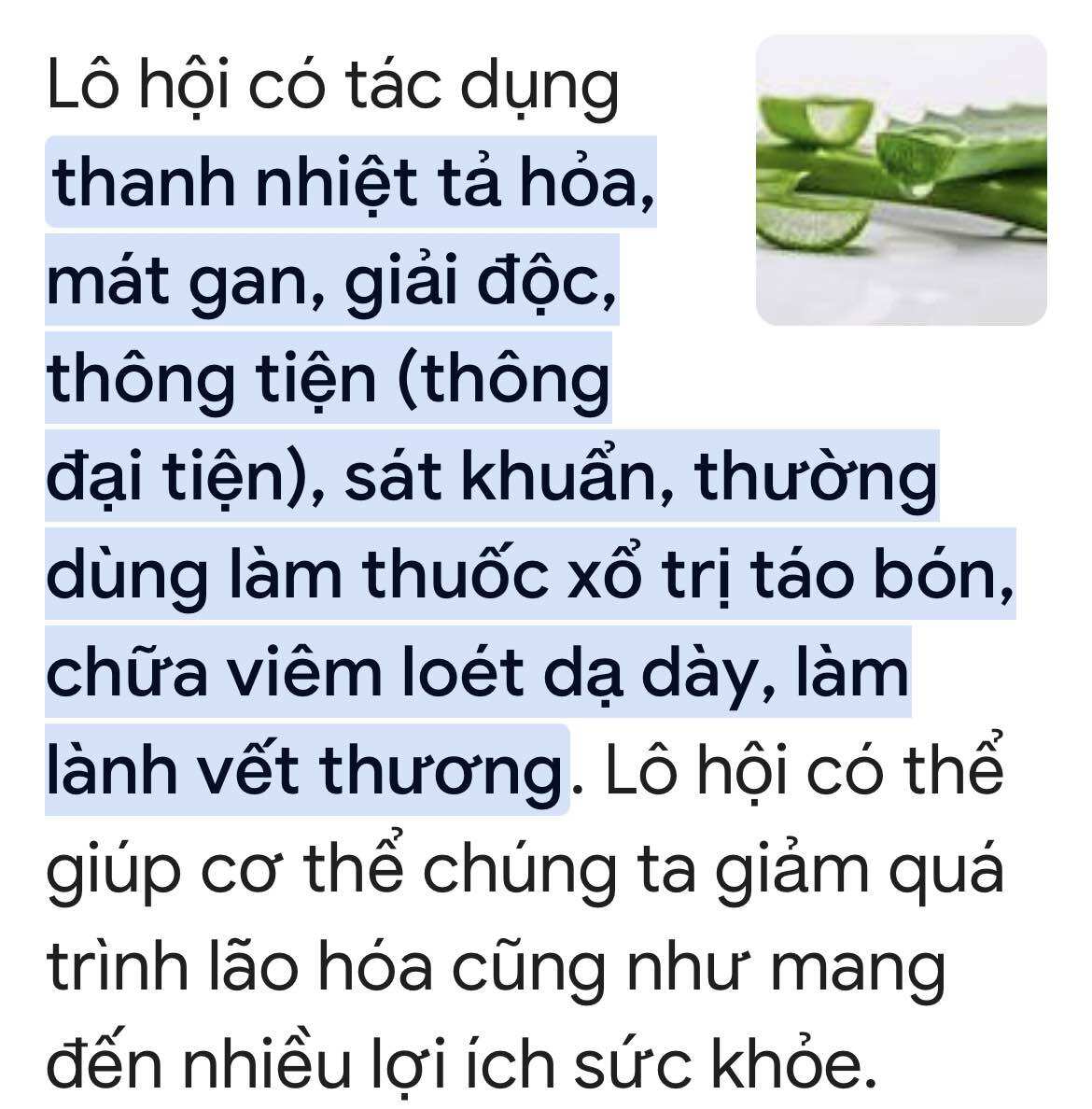 Cây lô hội giống (5 gốc)