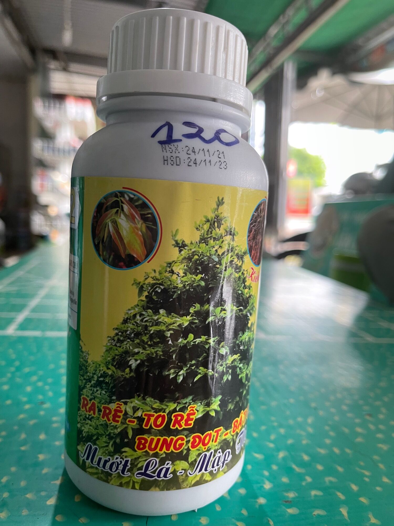 Chuyên Dùng Cho Mai Vàng - Ra Rễ - Bung Đọt - Mập Đọt- Dày Lá- Pha 10 Bình