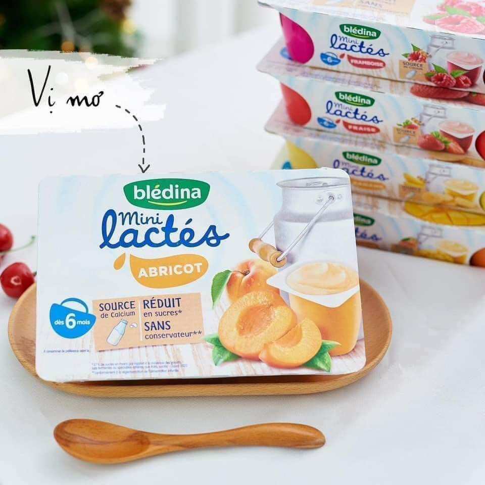 Sữa chua Bledina của Pháp