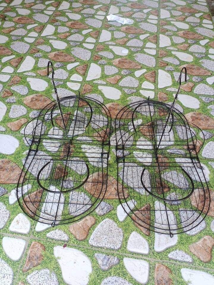 Mẹt treo cây bìm bịp
