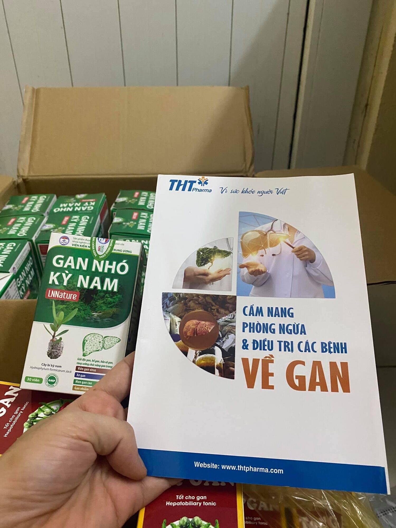 Gan nhó kỳ nam - Date mới 2027