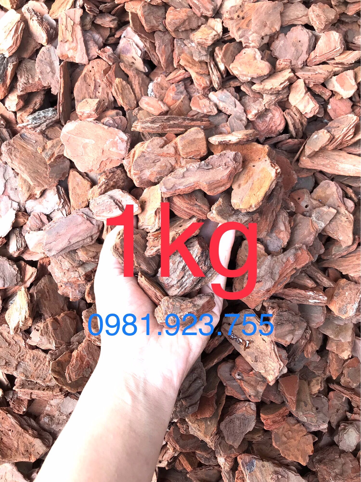 Vỏ thông trồng Lan đã bo tròn - 3x4 -1kg - đã qua xử lý