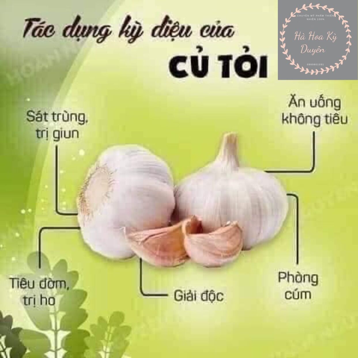 [HCM]Tinh dầu tỏi diệp chi