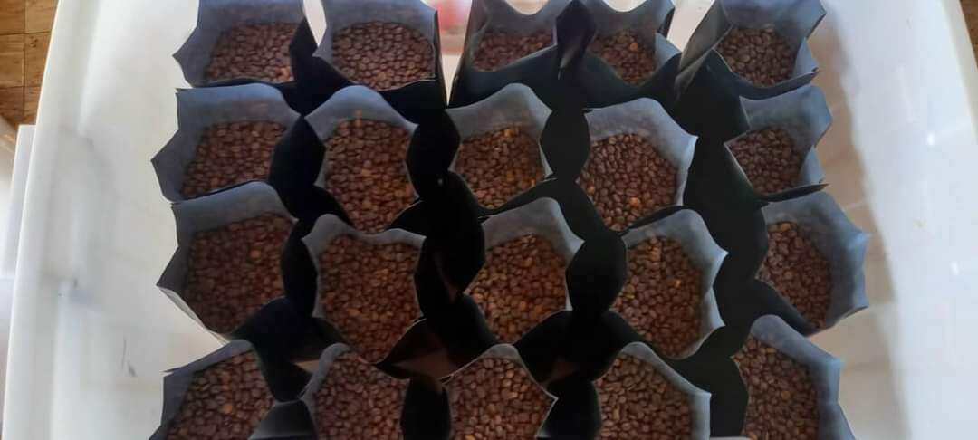 1 ký cà phê mộc pha máy