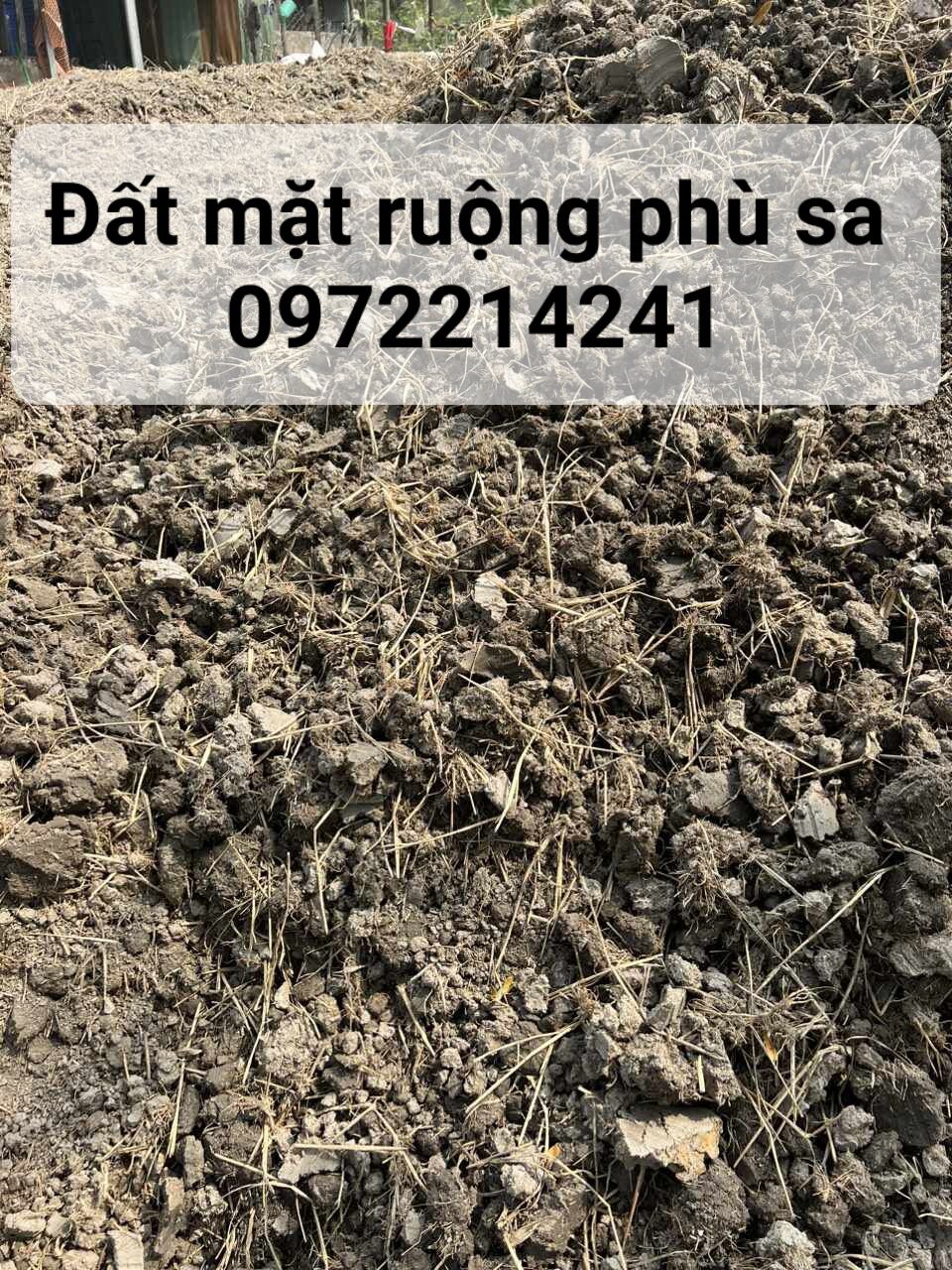 vỏ trấu tươi 5kg