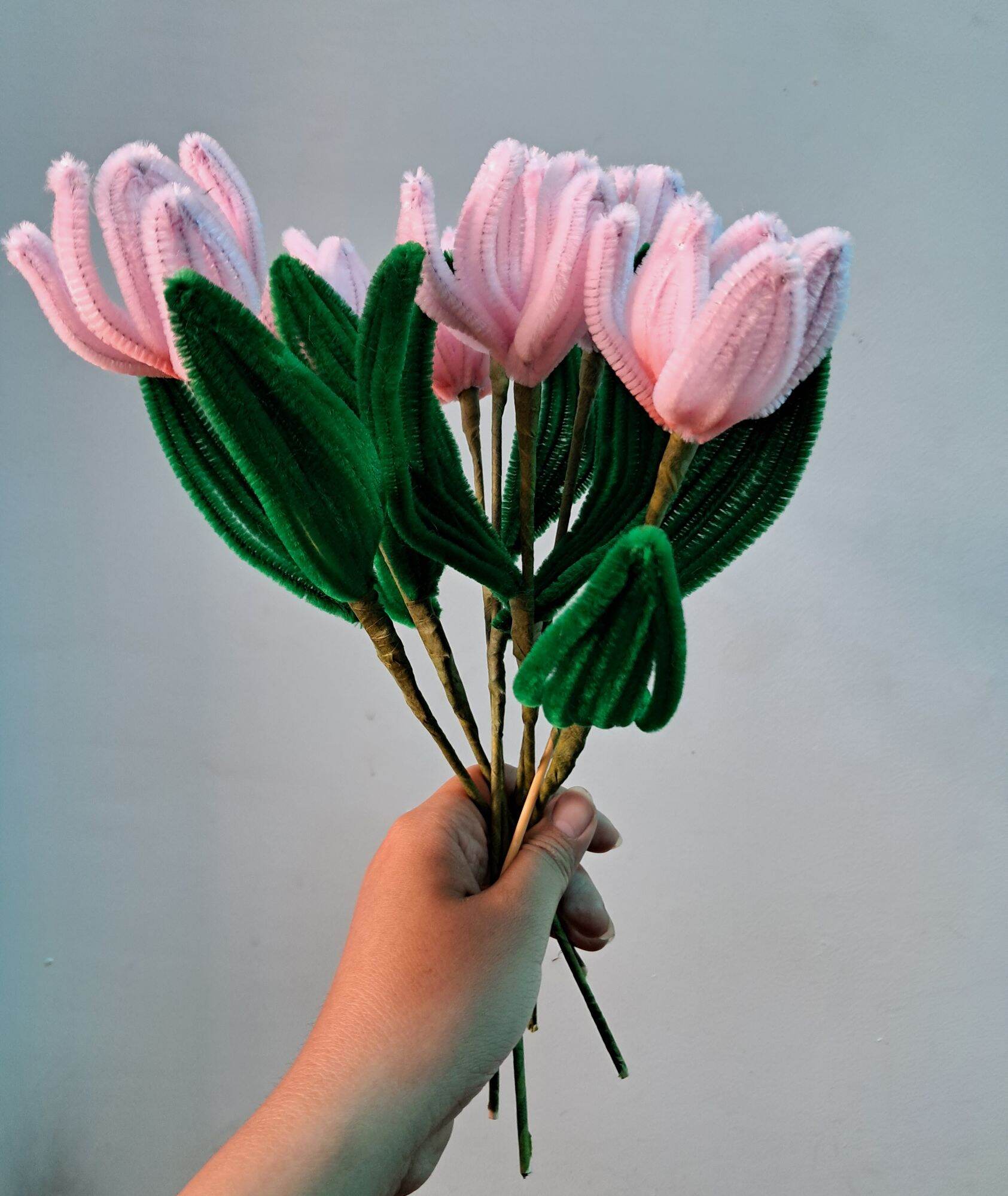 Hoa tulip bằng kẽm nhung
