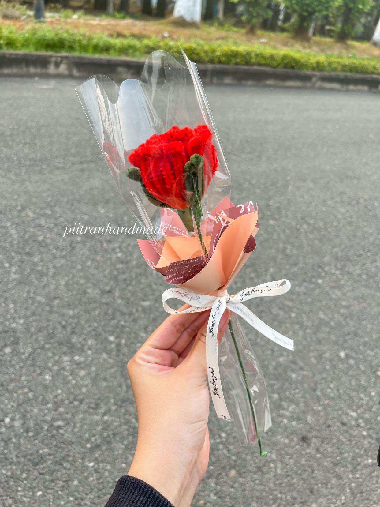 Hoa Hồng kẽm Nhung