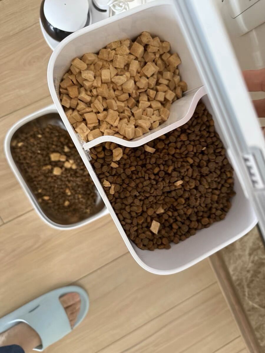 Máy cho ăn tự động Petkit Gemini - PETKIT FRESH ELEMENT GEMINI