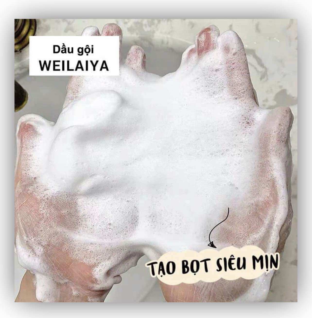 Gội xả Gừng 14g  WEILAIYA ( Gừng Trắng , Gừng Hà Thủ Ô )