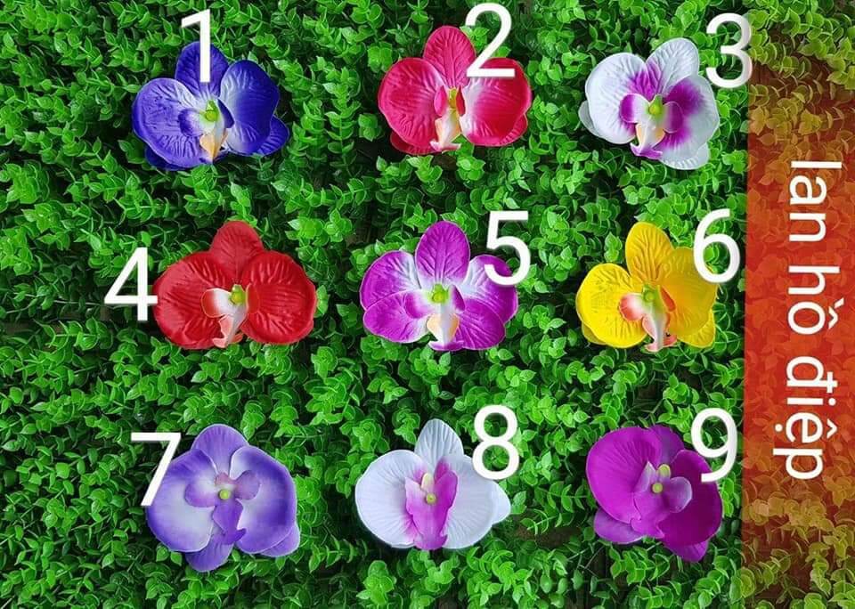 Bộ nguyên liệu làm hoa giấy