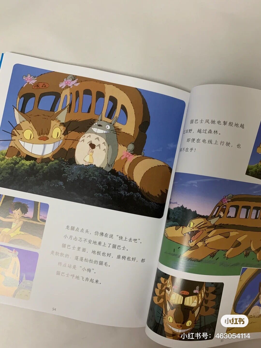 Hàng xóm của tôi là Totoro