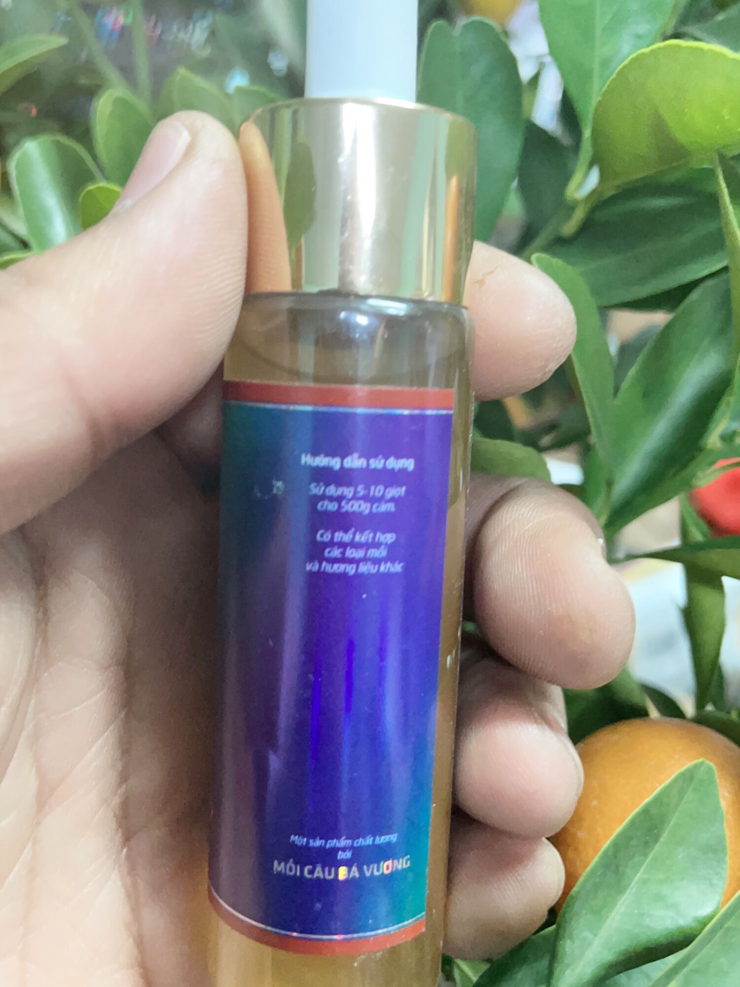 Tinh Mùi Câu Cá Bá Vương B28-Riệu Chép...Hiệu Quả Cao