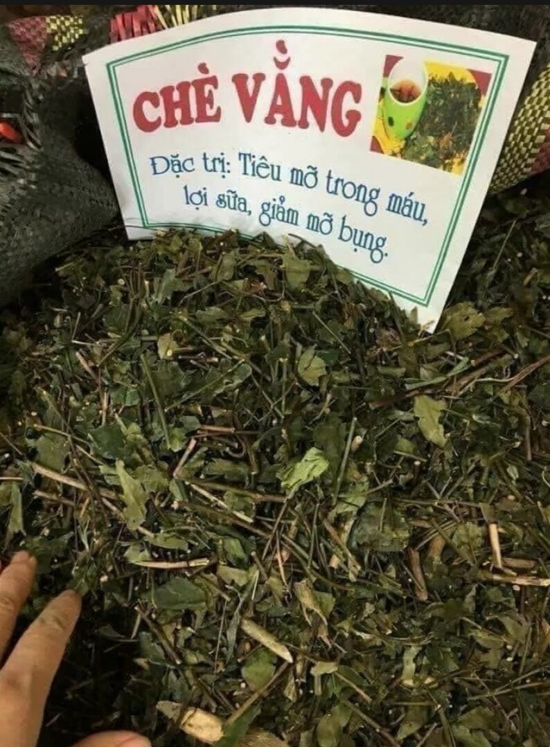 Trà chè vằng
