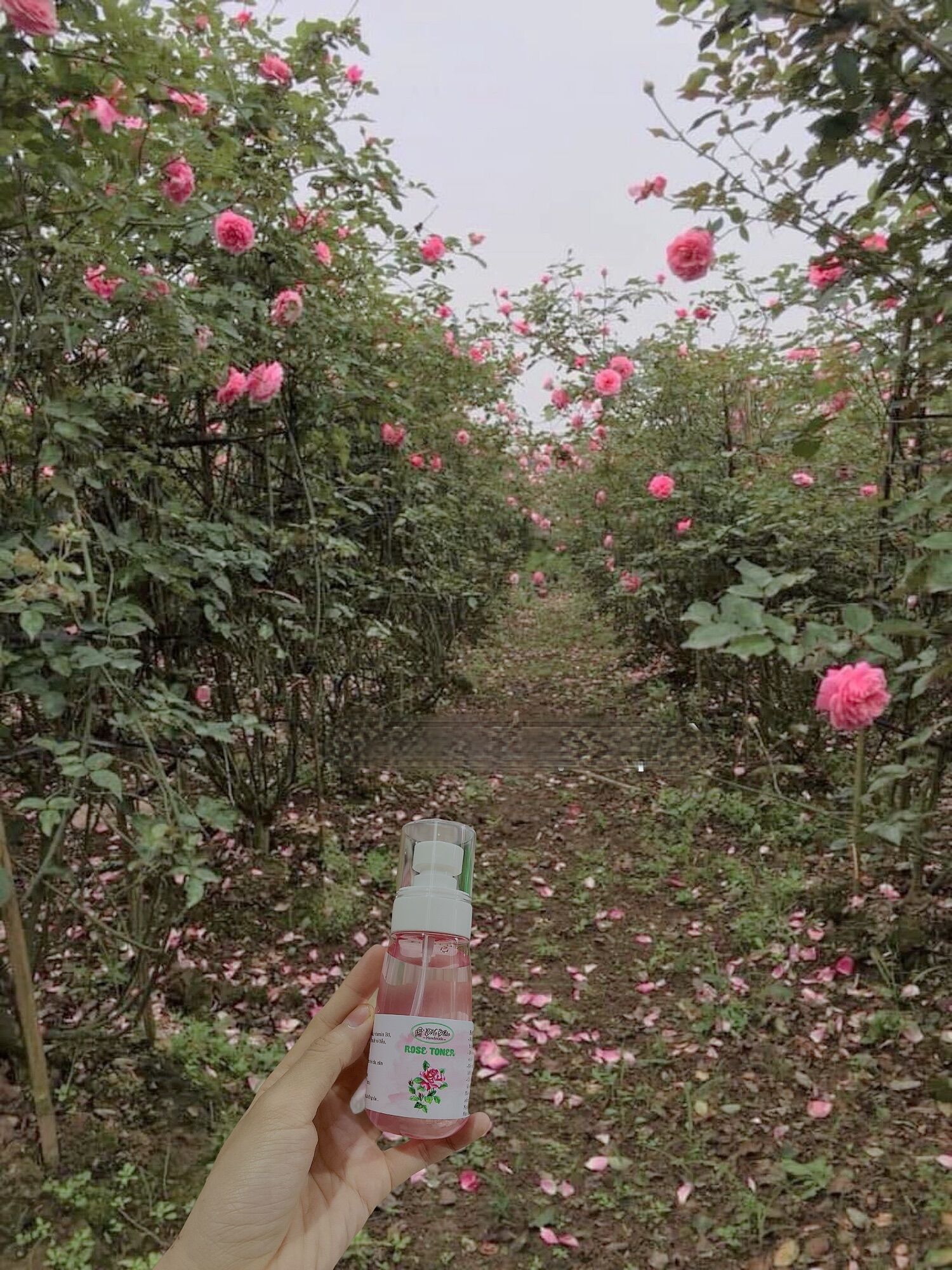 [HCM]TONER HOA HỒNG - ROSE TONER (HANDMADE)