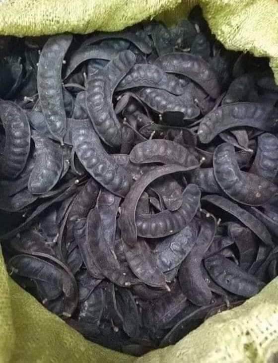 Bồ kết rừng khô 1kg