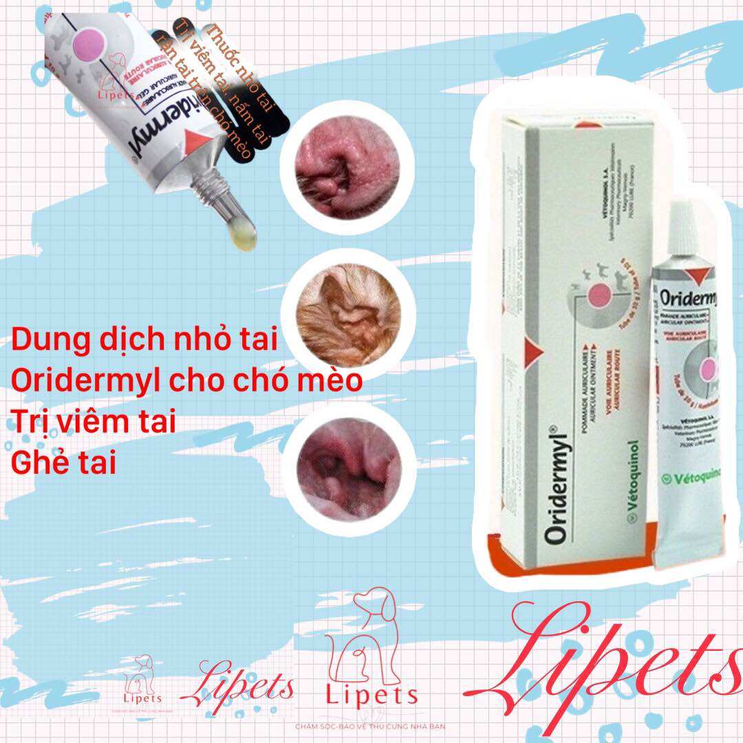 THUỐC HỖ TRỢ VIÊM TAI, NẤM TAI trên chó mèo ORIDERMYL EAR