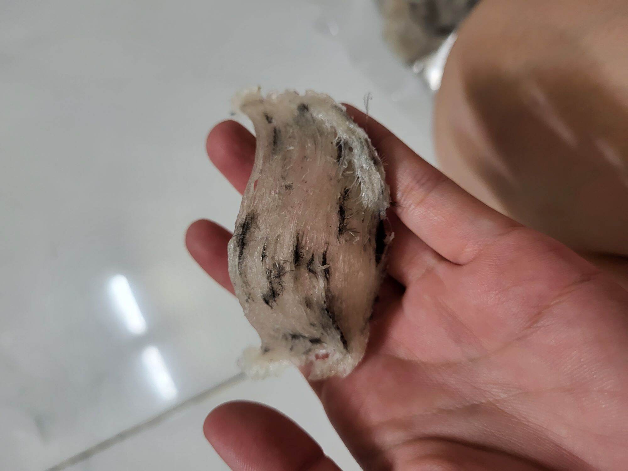 Giá dùng thử tổ yến thô 5_6g_ tổ yến nhà nuôi long an tặng kèm gia vị chưng đa dạng
