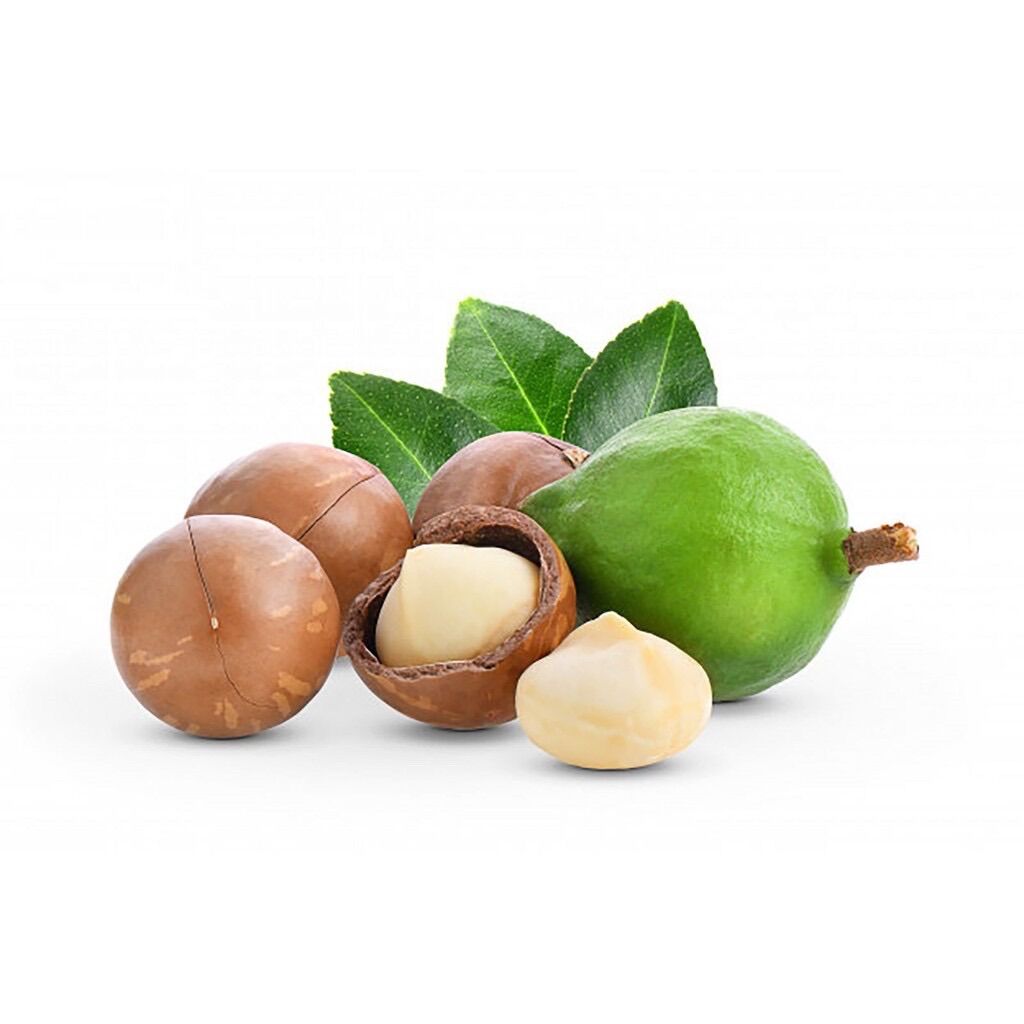 [HCM]HẠT MACCA NỨT VỎ DAKLAK 500gr( kèm DỤNG CỤ TÁCH VỎ)