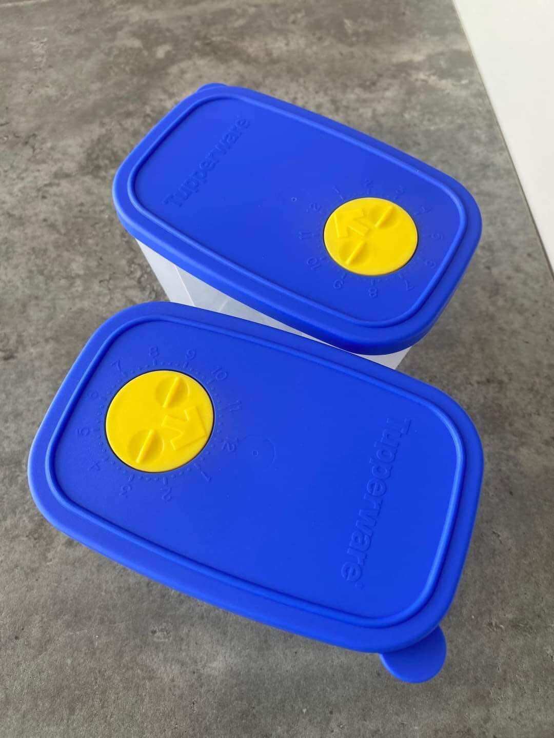 Set 4 hộp trữ đông 820ml Tupperware
