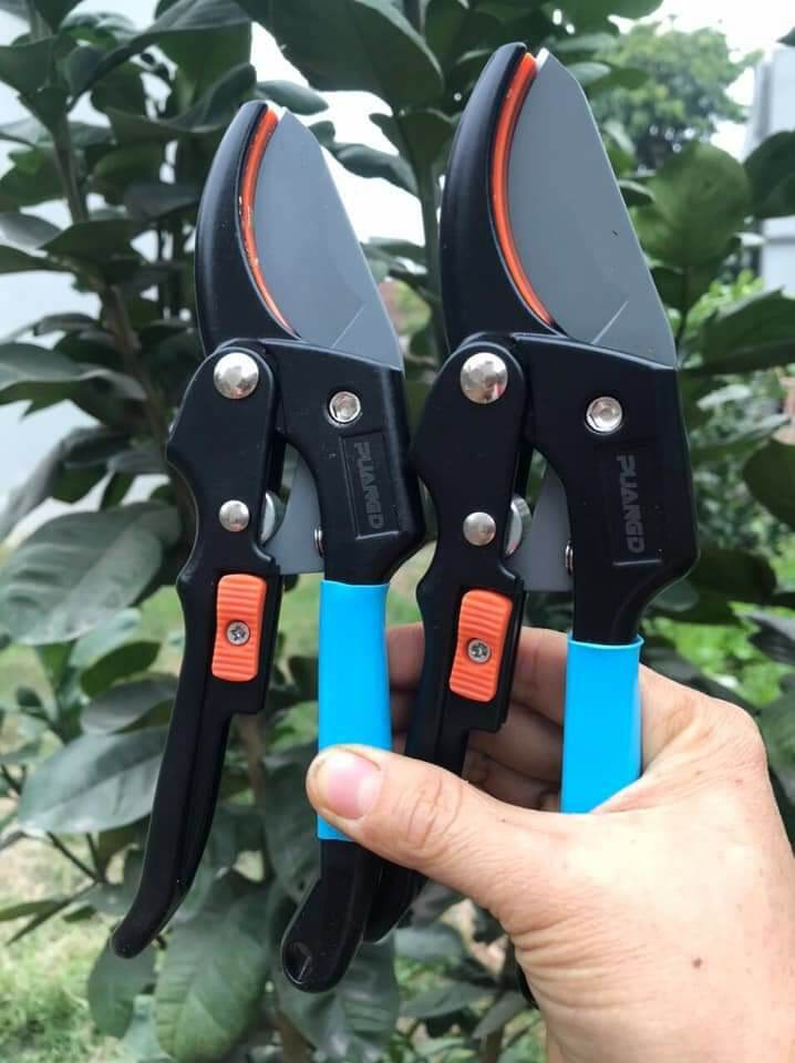 kéo cắt cành cộng lực