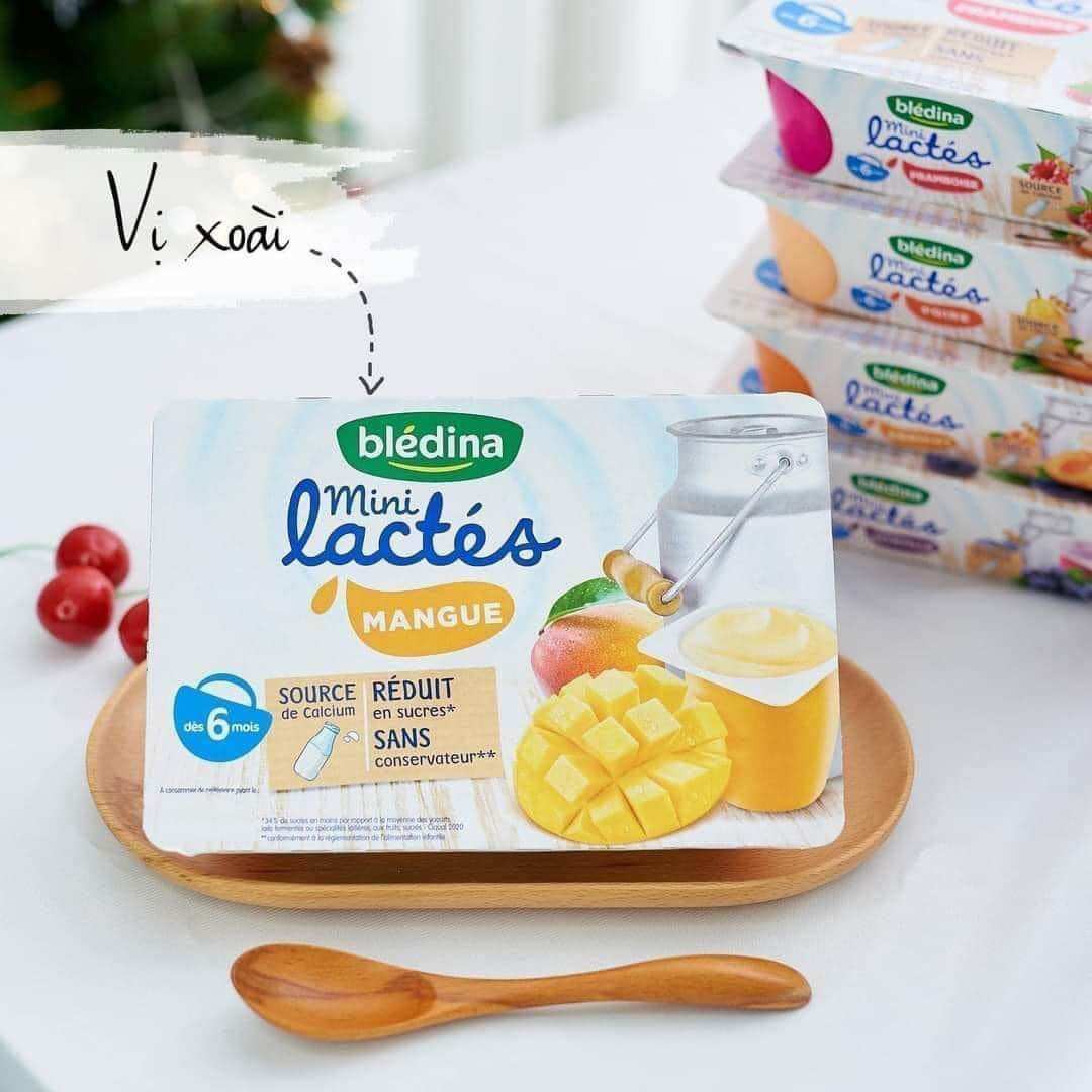 Sữa chua Bledina của Pháp