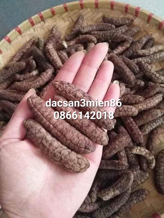 Chuối hột rừng Tây Nguyên 1kg