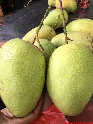 Xoài Tứ Quý 1kg