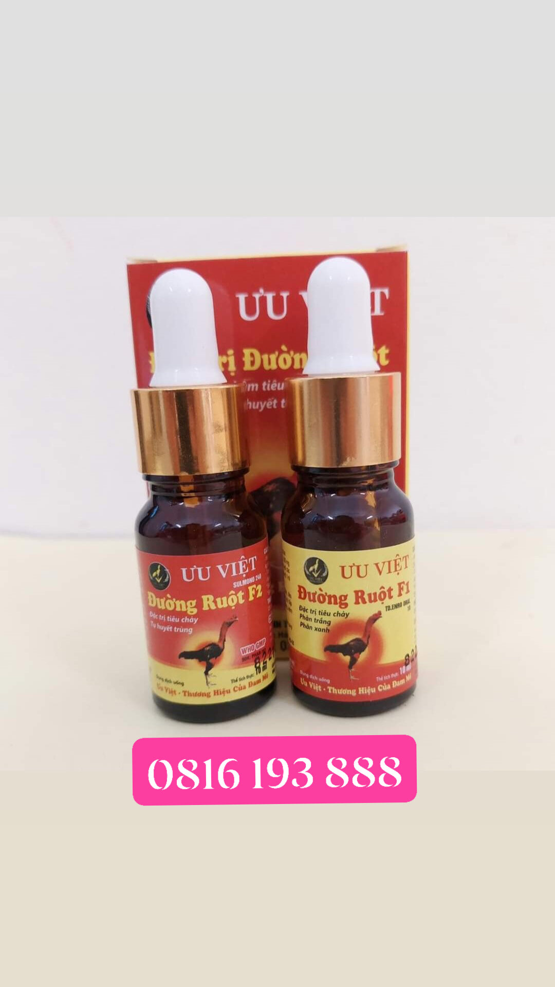 Đường ruột, phân xanh, phân trắng f1f2 cho gà hiệu ưu việt