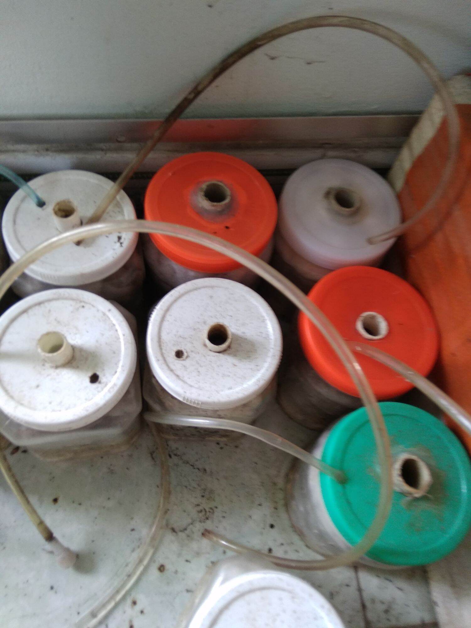 lọc bio chế cũ full vật liệu và bông