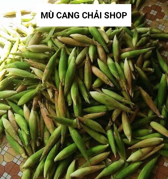 Hạt giống ngô, bắp nếp tím túi 100g (100-150 hạt)